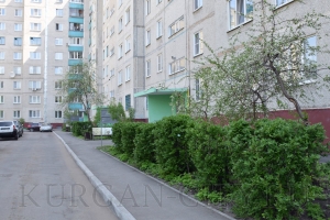 �������� �������� 2019