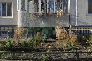 �����������