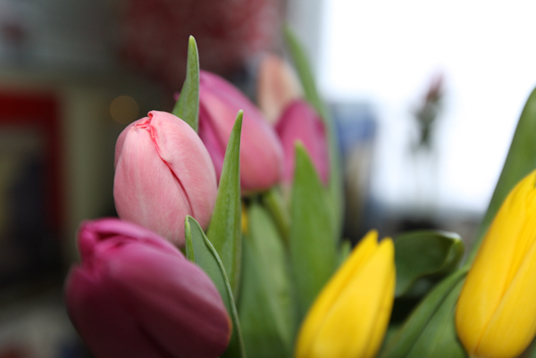 ������������ � ���������� �����