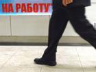 О ситуации на рынке труда