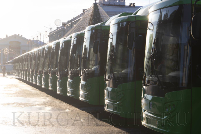 Курган продолжает работу по обновлению общественного транспорта