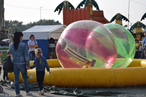 ���� ���� ����������� 2019