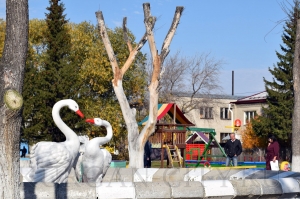 ������� �������� 2019