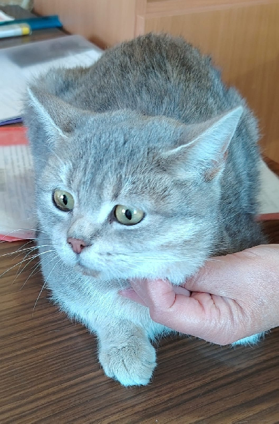 Кличка Машка Кличка Машка
