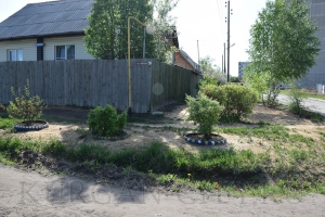 �������� �������� 2019