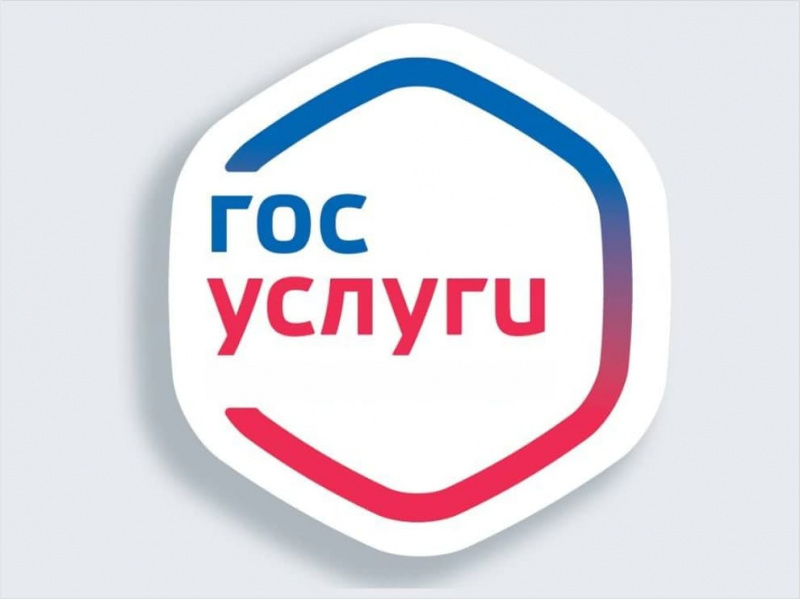 С помощью Портала Госуслуг можно получить ряд массовых социально значимых услуг С помощью Портала Госуслуг можно получить ряд массовых социально значимых услуг
