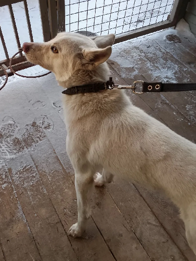 ������ �����