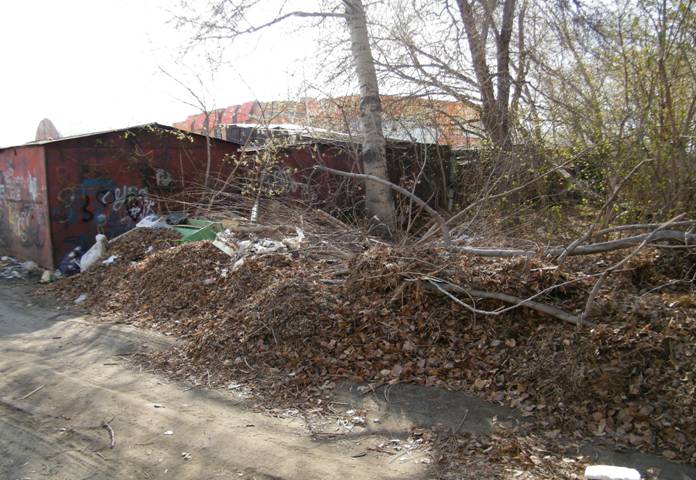 image006.jpg image006.jpg