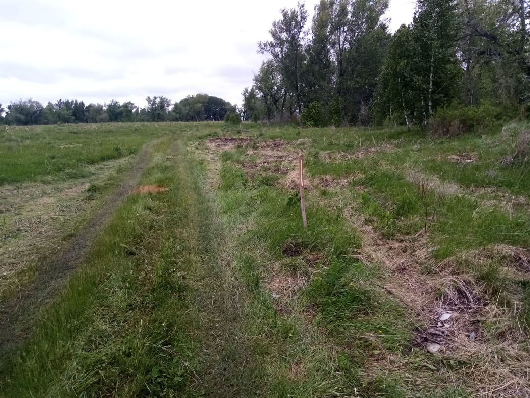 IMG-20190607-WA0004.jpg